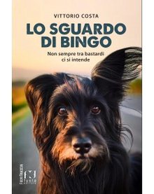 Cover of Lo sguardo di Bingo